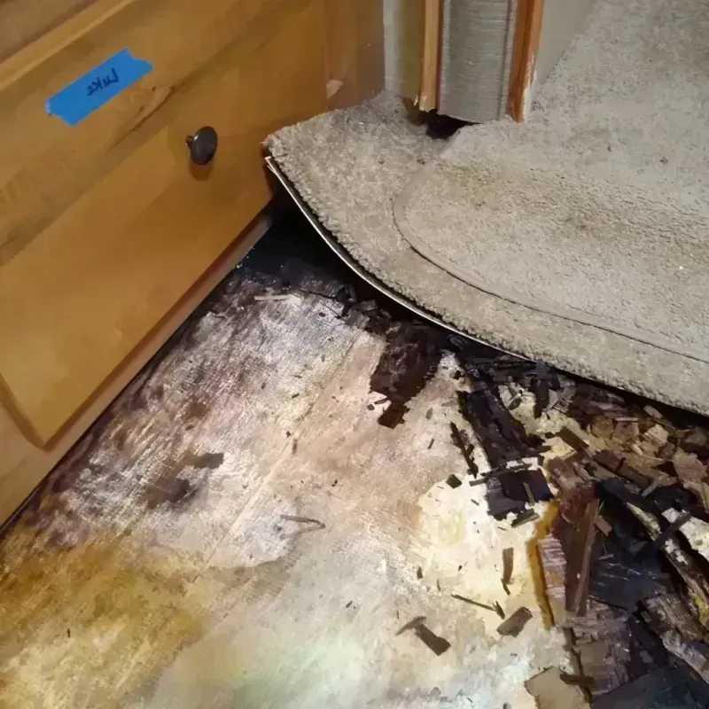 Wood Floor Water Damage in Ithaca, MI